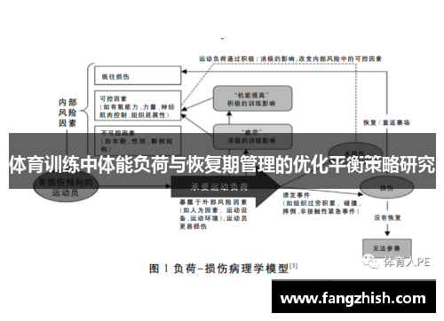 体育训练中体能负荷与恢复期管理的优化平衡策略研究