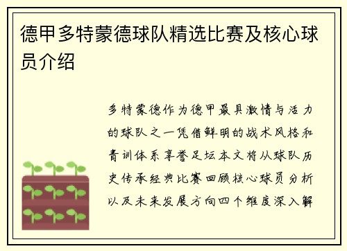 德甲多特蒙德球队精选比赛及核心球员介绍