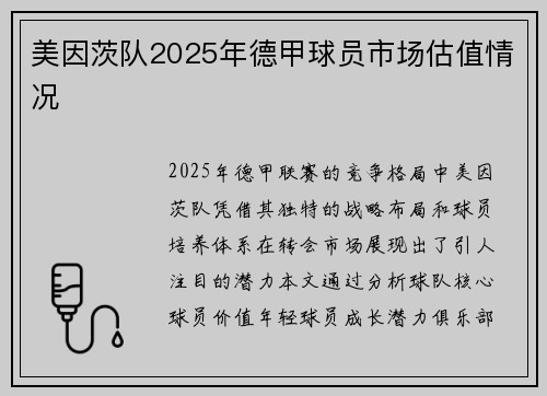 美因茨队2025年德甲球员市场估值情况